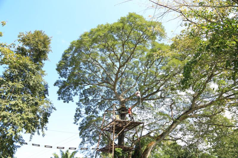 ฟีนิกซ์ แอดเวนเจอร์ พาร์ค