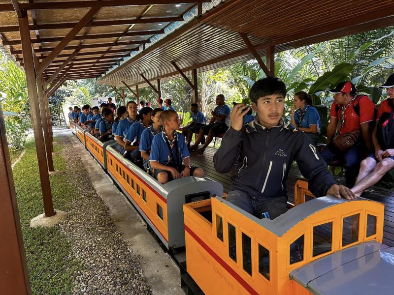 Phoenix Train