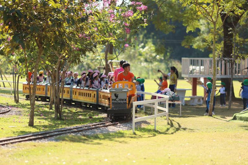 Phoenix Train