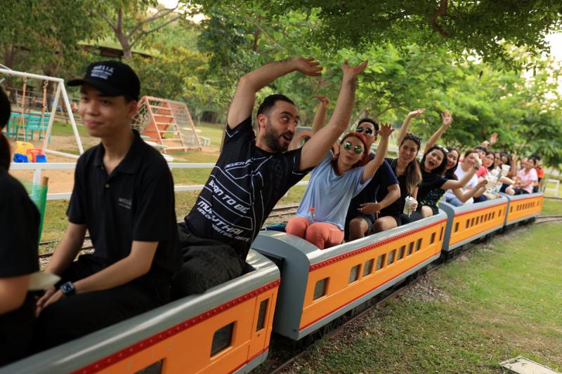 Phoenix Train