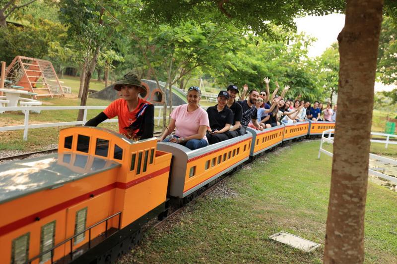 Phoenix Train