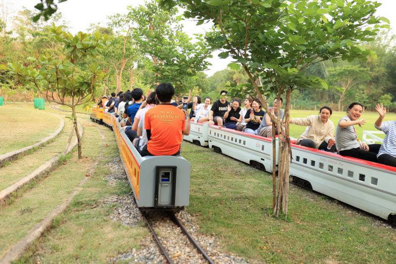Phoenix Train