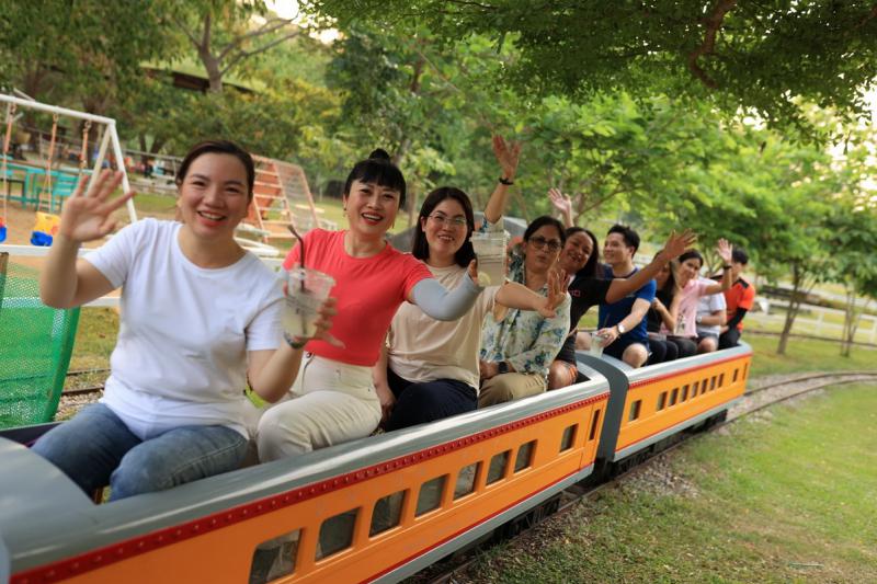 Phoenix Train