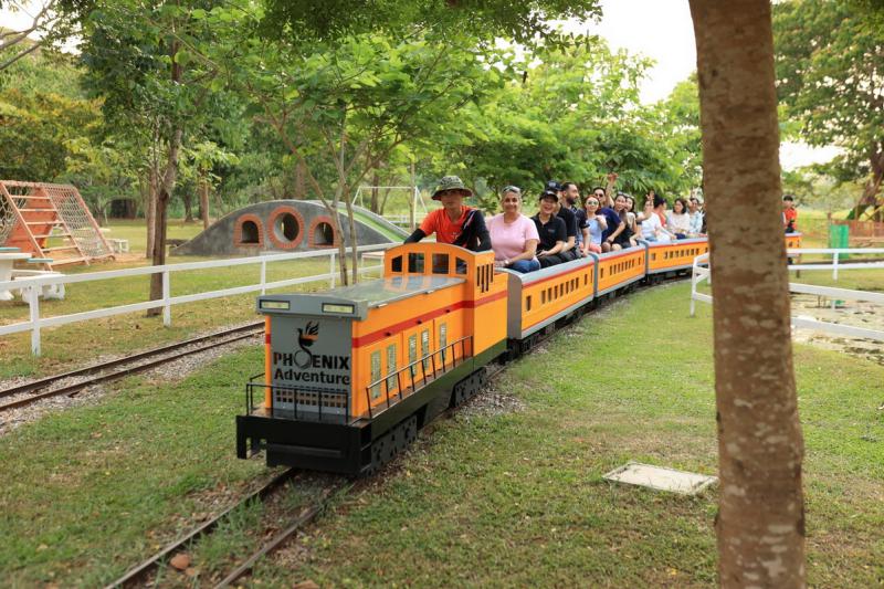 Phoenix Train
