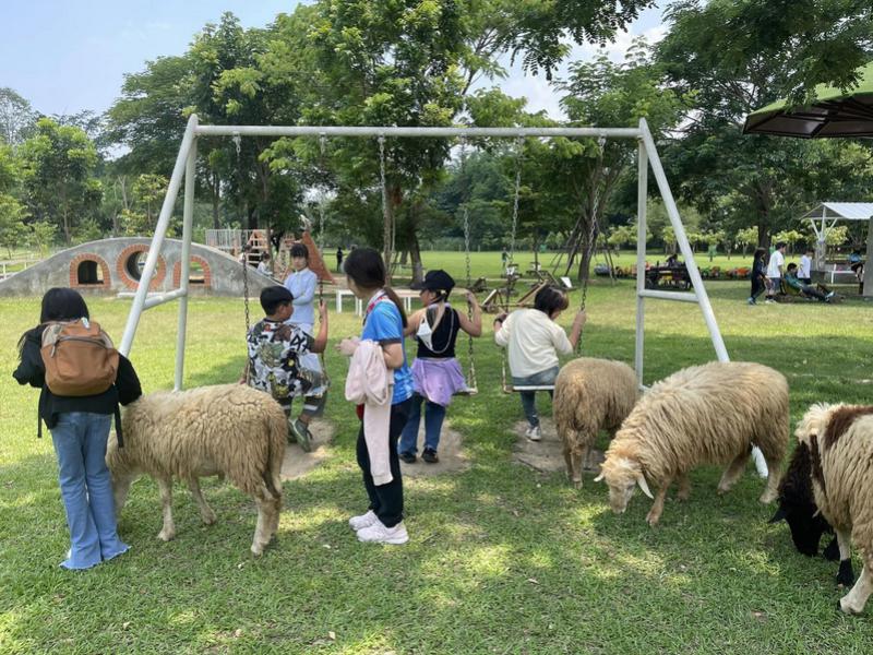 Sheep Farm